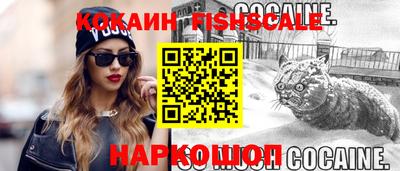 крисы Абакан