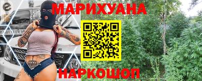 крисы Абакан