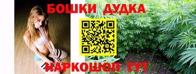 крисы Абакан