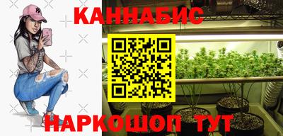 крисы Абакан