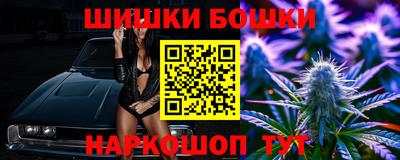 крисы Абакан